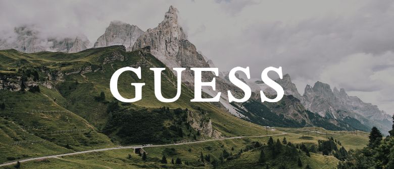 Guess