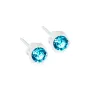 Blomdahl Bezel Øreringe Plast 15-0103-05