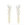 Swarovski Mesmera Øreringe Guldbelagt Metal 5747936