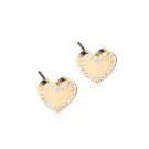 Blomdahl Brilliance Sweetheart Øreringe Titanium 15-13173-01