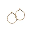 Blomdahl Ear Ring Øreringe Titanium 15-1351-00