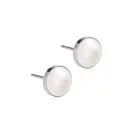 Blomdahl ST Bezel Pearl Øreringe Titanium 15-1406-59