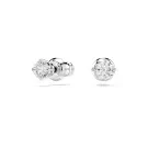 Swarovski Stilla Attract Stud Øreringe Metal 5408436