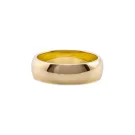 IX Studios Class Ring Guldbelagt Sølv DMN0295GD