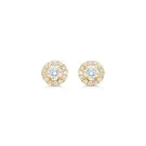 Diamond Dream Rosette Øreringe Guld 0,36 ct. 01-511010