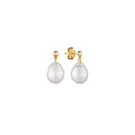 Gaura Natural Pearls Pearl Øreringe Guldbelagt Sølv MS24495YE