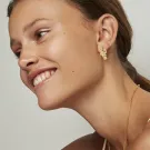 Polar Jewelry Øreringe Guldbelagt Sølv PRI-ST-GD-WZ-00310