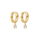 Velara Lione Crystal Pendant Drops Øreringe Guldbelagt Rustfrit Stål VLR1013