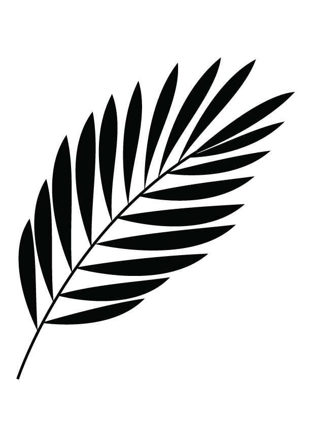 Palm leaf shadow flowing in the calm summer breeze