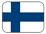 FI