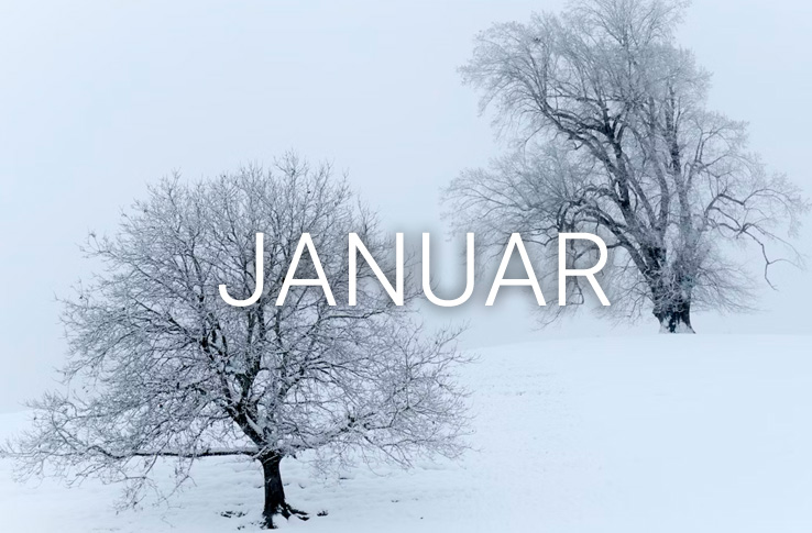 To træer i sneen med teksten januar