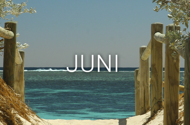 En strand og vand i baggrunden med teksten juni