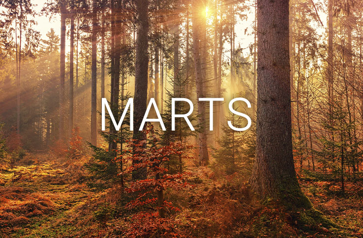 En skov med forårsfarver og teksten marts