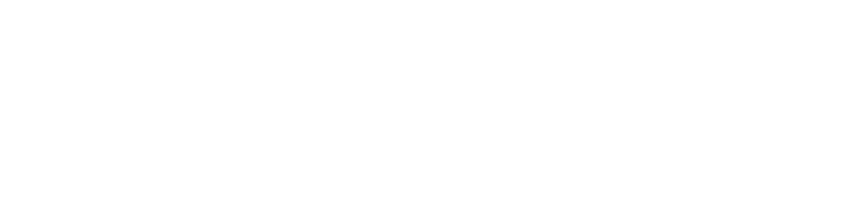 Website logo of Ditur